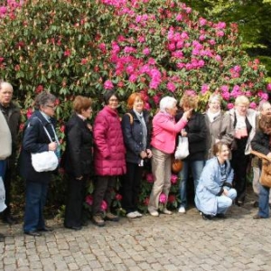 Le GSARA aux serres de Laeken, le 4 mai 2010