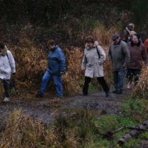 le ruisseau entre Bonnerue et Mabompre est proche