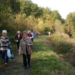 voie du tram entre l'Ermitage et le moulin Bastin