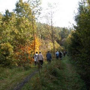 voie du tram, entre le moulin Bastin et Cowan