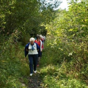 la descente du chemin des chapelles