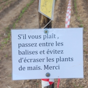 Balade gourmande au Bois du Chant d'Oiseaux