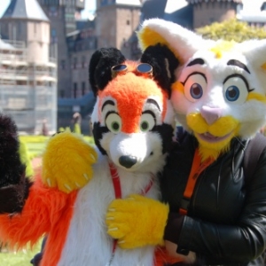 Foire aux Elfes à Haarzuilens