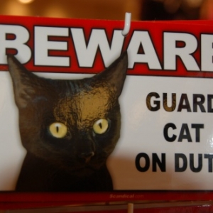 Universal Studios Hollywood - Los Angeles