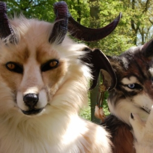 Foire aux Elfes à Haarzuilens