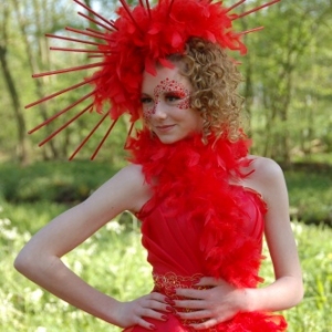 Foire aux Elfes à Haarzuilens