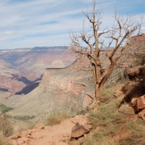 Grand Canyon - Bright Angel trail