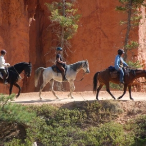 Bryce Canyon