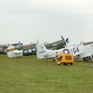 P36 Hawk avec Spitfire et P40 Warhawk accompagne du P51D Mustang