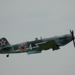 Yak 3