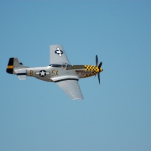 P51D Mustang