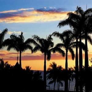 Soleil sur les palmiers - (c) Nouvelle Caledonie Point Sud