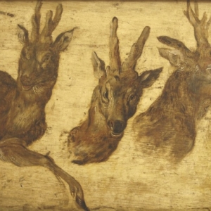 Têtes de brocards, Jan Brueghel l’Ancien (1568-1625), © Jean Lepage, ville de Narbonne  