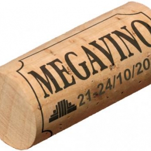 Megavino 2011 : Frankrijk opnieuw gastland én tal van nieuwigheden