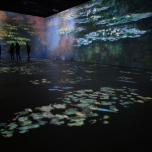 Bruxelles accueille ''Claude Monet, l'expérience immersive''