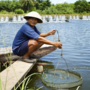 Essence of Thailand op 9 september in Brussel: Yves Mattagne, Patrick Vandecasserie en Sathit Srijettanont geven advies.