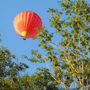 montgolfiere a Bastogne