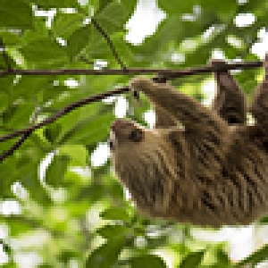 (c) Alain et Evelyne Basset (c) Alain et Evelyne Basset