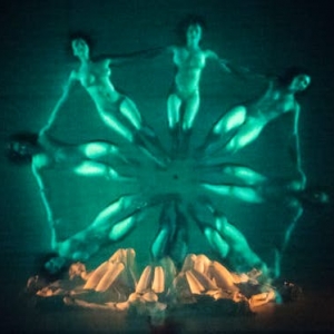 "The dry Piece/XL Edition"