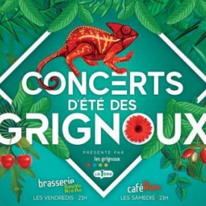 Les Concerts d'Eté des "Grignoux", à Liège et à Namur