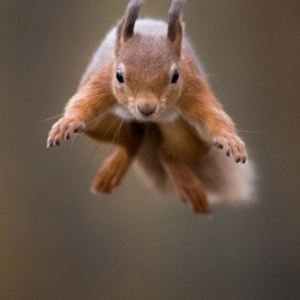 Prix du Public Photos (c) Samuel Nugues