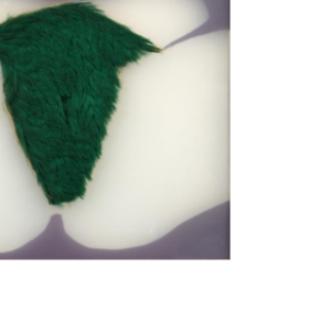 "Petite Fourure verte/1970/email sur plexiglas & fourrure synthetique/27,3 x 31,4 cm/Coll. privee