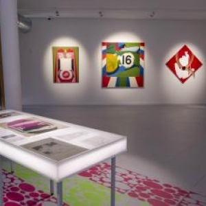 L une des salles du "Delta", consacrees a l exposition "Evelyne Axell, Methodes Pop"