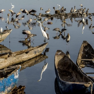 Senegal (c) C. et P. Thimister