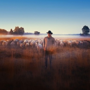 "Sheep Hero" (c) Ton Van Zantvoort