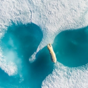 Plusieurs Prix internationaux pour "Au-dessus de l Ours polaire" (c) Florian Ledoux