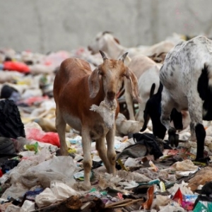 L exposition "Le Bout du Tunnel" nous interpelle des son entree ! (c) "AFP"