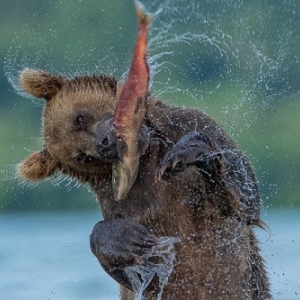 "Best of" (Palais des Congres) (c) Marco Urso (It.)