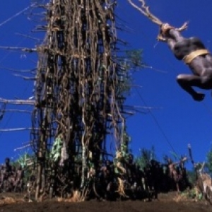 En Melanesie, le "Saut du Gaul"