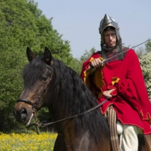 11ièmes "Médiévales" de la Citadelle de Namur, les 7 et 8 Juillet