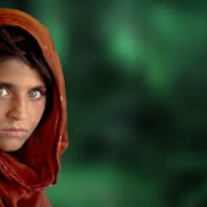 Sharbat Gula, Peshawar, Pakistan, 1984 (c) Steve McCurry