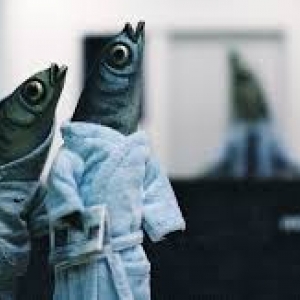 "Min Börda", Prix du Jury de la Competition Internationale