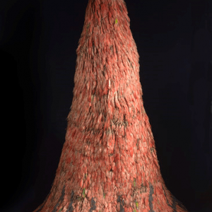 Hologramme d un manteau de plumes amazonien, autrefois attribue a l Empereur Montezuma (c) "MRAH"