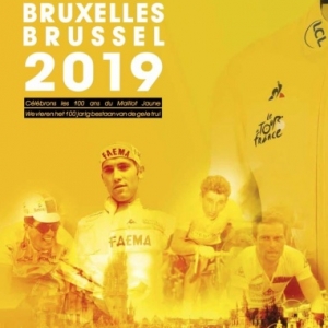 A 50 Jours du "Grand Départ", Bruxelles en Jaune : "20 km", "Gay Pride", "Fête du Vélo", ...