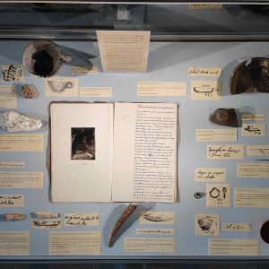 Fragments divers de la préhistoire de Dave & un carnet © « Musée de la Tour d’Anhaive »