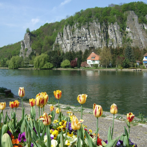 Le Neviau surplombant la Meuse