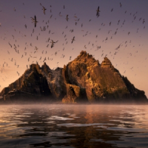 Grand Prix Films Pros (c) Cepa Giblin/John Murray