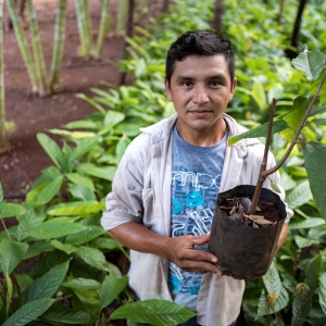 Un employé de l’ « Hacienda Criollo Cacao Maya », de Mathieu Brees, près de Merida © Brian Sokol