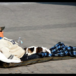 Namur vue par Christian Delwiche