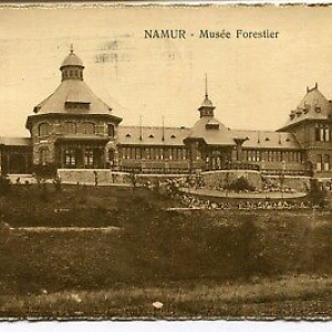 Balade guidée : le "Musée Forestier" avant sa rénovation en "Salle des Mariages"