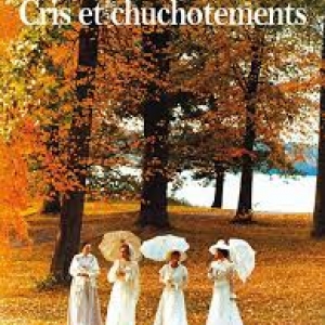 A Namur, au "Caméo", Séance du "Cycle Ingmar Bergman"