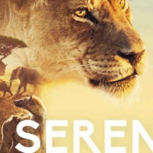 25e "Festival International Nature-Namur", du 11 au 20 Octobre