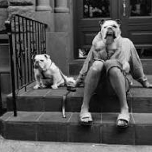 © Elliott Erwitt /« Magnum Photos »