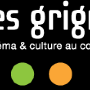 "Cycle Ingmar Bergman", au "Caméo", à Namur, le 29 Octobre