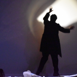 "L'0mbre de Saint-Saëns" / Photo : © Murielle Lecocq