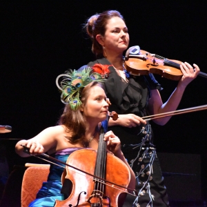 "L'0mbre de Saint-Saëns" / Photo : © Murielle Lecocq